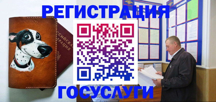 где прописаться в Тольятти